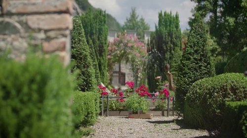 Background image for A French-style garden