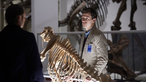 Background image for Shiizakana