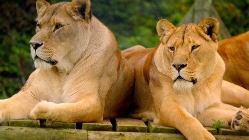 Background image for Episode 1