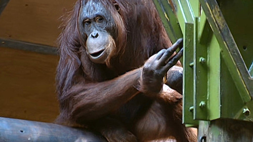 Background image for Episode 4