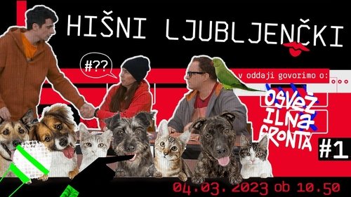 Background image for Pets