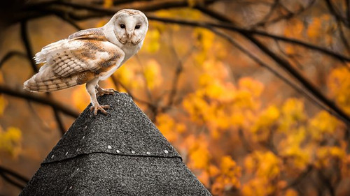 Background image for Episode 4