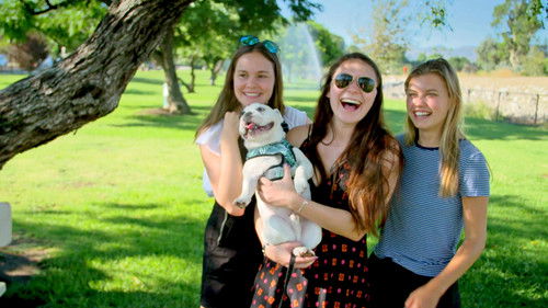 Background image for The LA Dogs