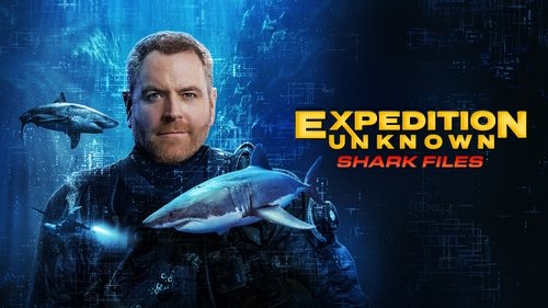 Background image for Expedition Files: Shark Files