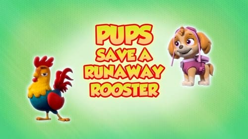 Pups Save a Runaway Rooster