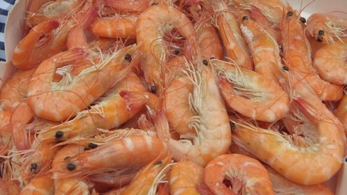 Background image for Shrimp in troubled waters