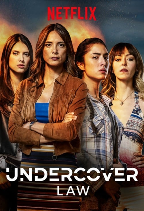 Show cover for Undercover Law