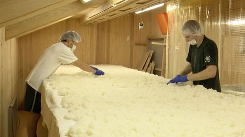 Sake Mastery Starts With Rice