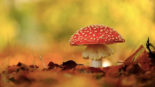 Background image for Episode 2