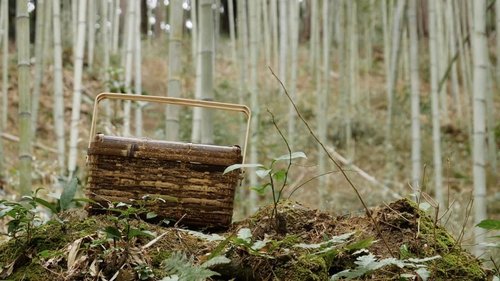 Background image for A Treasured Creation: Today's Treasure - Bamboo Basket