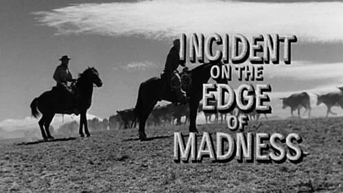 Incident On the Edge of Madness