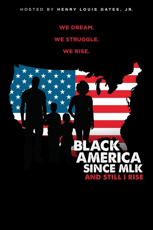 Show cover for Black America Since MLK: And Still I Rise