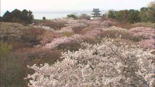 Background image for Matsumae