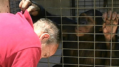 Background image for Episode 5