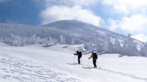 JAPOW Magical Backcountry Ski Tour