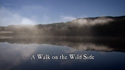 Background image for A Walk on the Wild Side