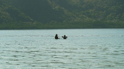 Background image for Episode 24