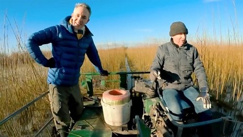 Background image for Somerset Willow Harvest