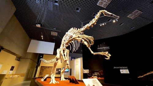 Background image for Keyword: Ueno Part 1 (Ueno Park)