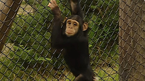 Background image for Episode 8