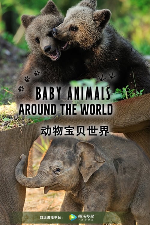 Show cover for Baby Animals Around the World