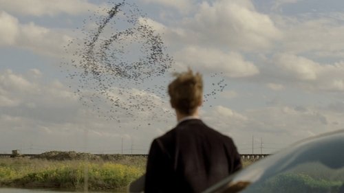 Background image for Seeing Things