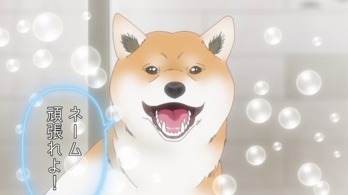 Background image for The Comic Artist and the Shiba Inu