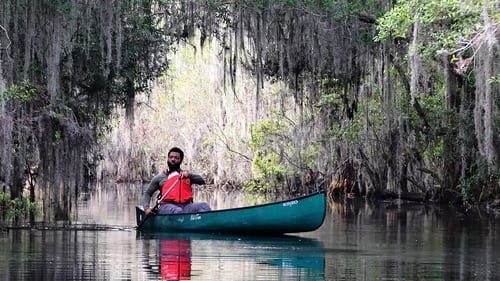 Suwannee: Wild River