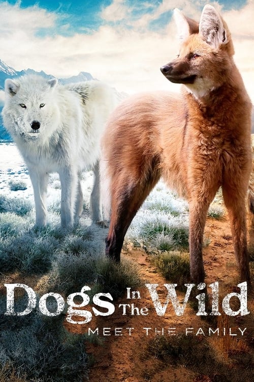 Show cover for Dogs in the Wild: Meet the Family