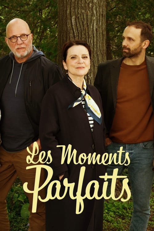 Show cover for Les moments parfaits