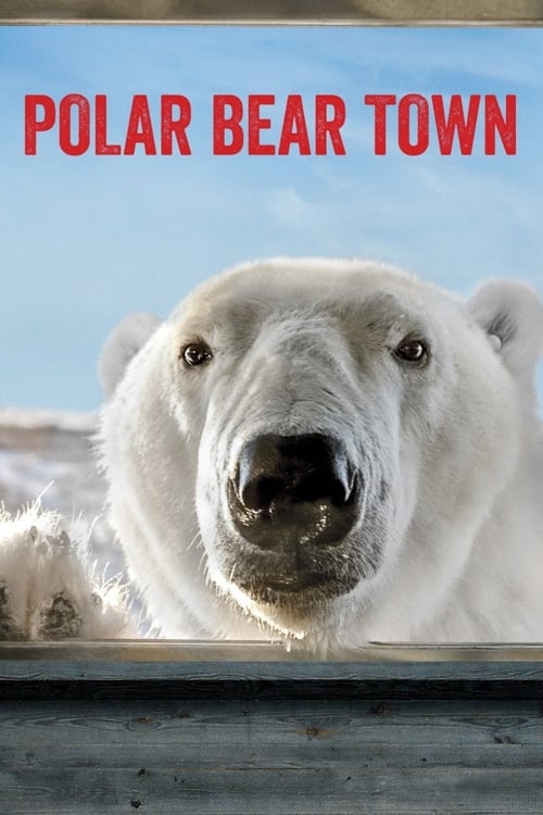 Show cover for Polar Bear Town