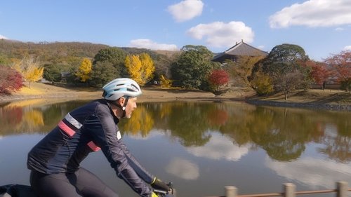 Background image for Nara - Discovering Ancient Ways