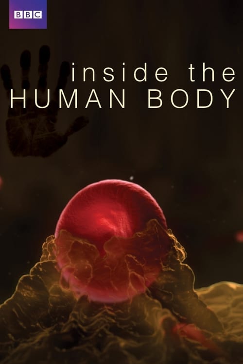 Show cover for Inside the Human Body