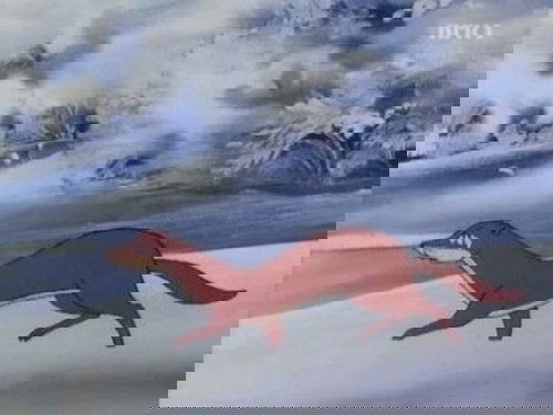 Background image for Survival