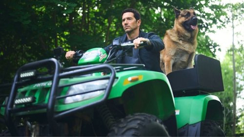 Background image for Fortitude Newfoundland