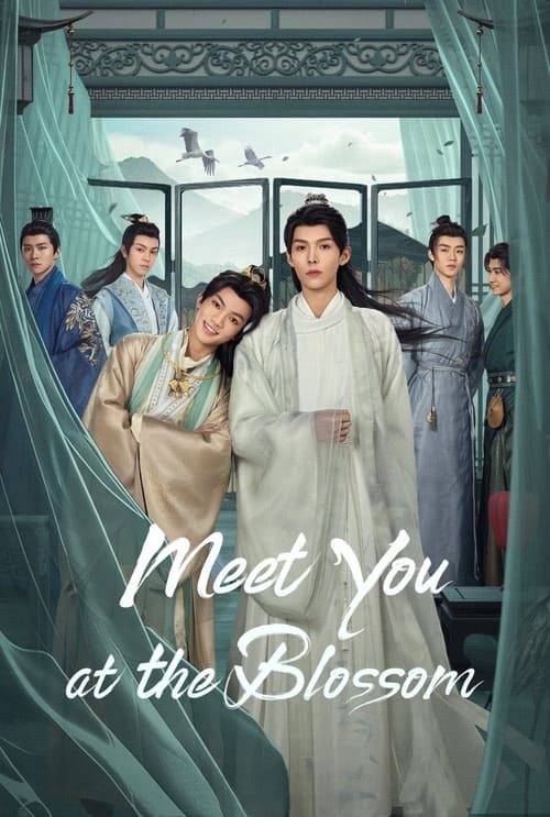 Show cover for Meet You at the Blossom