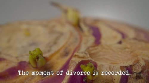 The Moment of Divorce Is Recorded