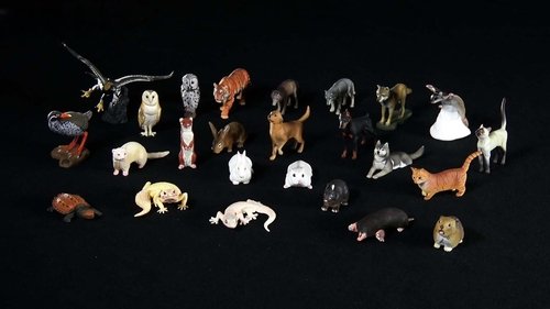 Background image for Capsule Figures