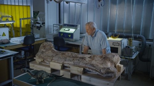 Background image for Museum Alive With David Attenborough