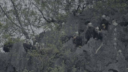 Background image for Episode 5