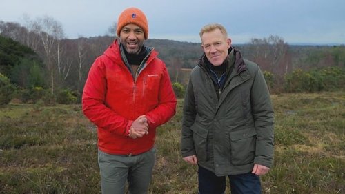 Background image for New Forest
