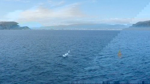 Background image for The Sea of Hakodate