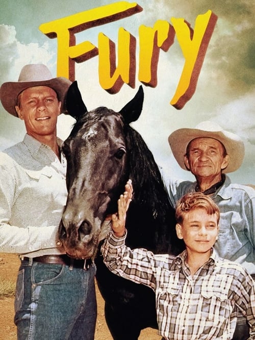 Show cover for Fury