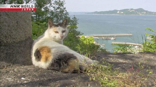 Background image for Seto Inland Sea: Two Cat Islands