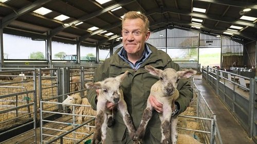 Background image for Lambing Special