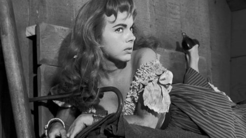 Background image for Incident of the Tumbleweed