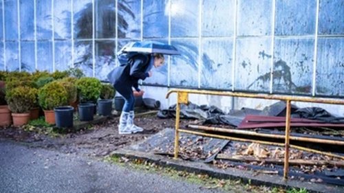 Background image for The Flowers of Evil