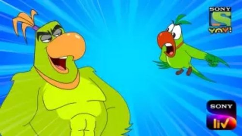 Background image for Parrot Leader