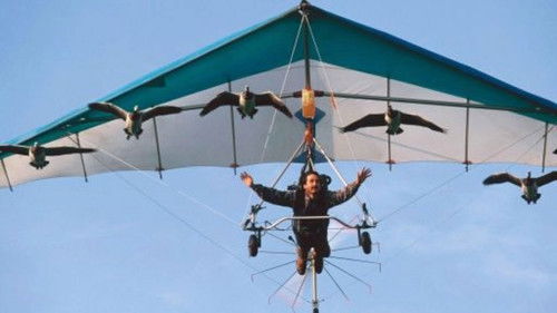 Background image for Earthflight: Flying High