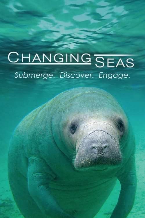 Show cover for Changing Seas